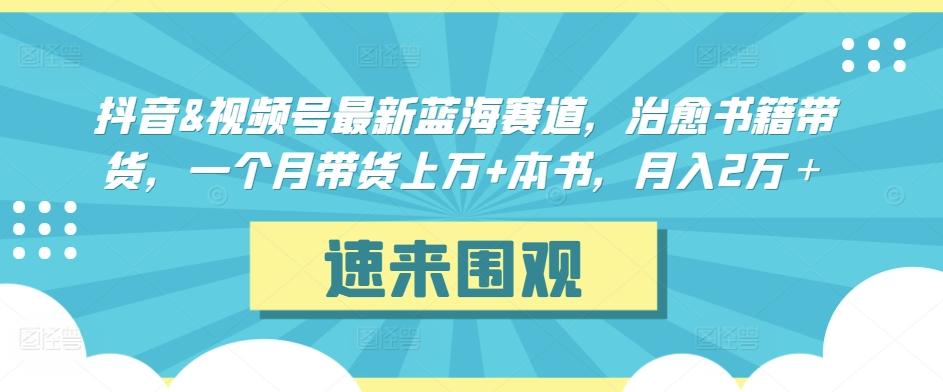 抖音&视频号最新蓝海赛道，治愈书籍带货，一个月带货上万+本书，月入2万＋【揭秘】-豪讯资源网