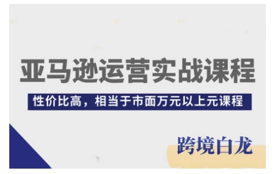 亚马逊运营实战课程，亚马逊从入门到精通，性价比高，相当于市面万元以上元课程-豪讯资源网