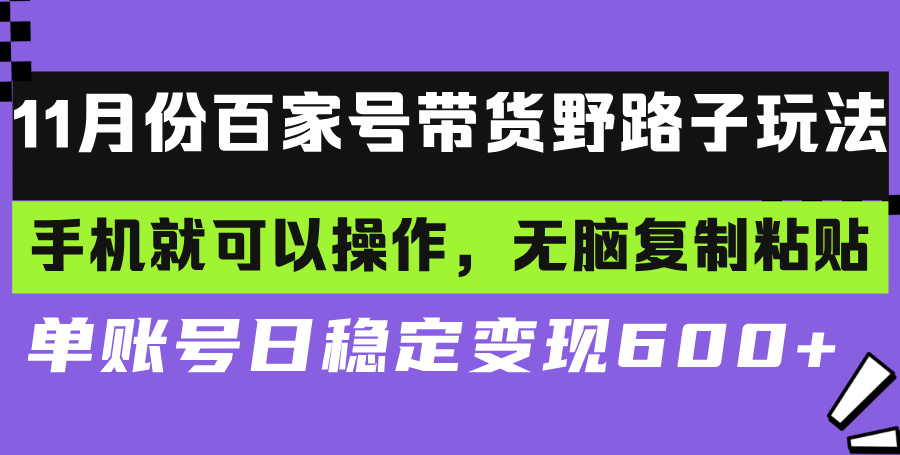 百家号带货野路子玩法 手机就可以操作，无脑复制粘贴 单账号日稳定变现...-豪讯资源网