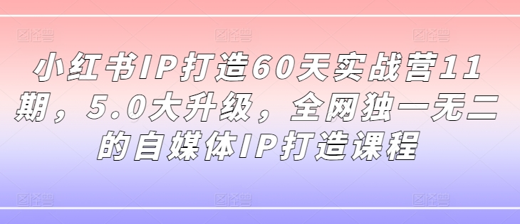 小红书IP打造60天实战营11期，5.0大升级，全网独一无二的自媒体IP打造课程-豪讯资源网