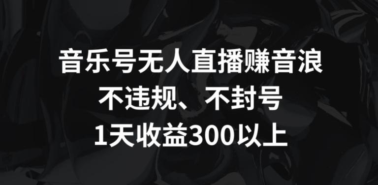 音乐号无人直播赚音浪，不违规、不封号，1天收益300+【揭秘】-豪讯资源网