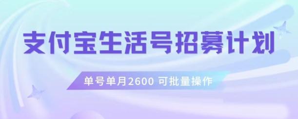 支付宝生活号作者招募计划，单号单月2600，可批量去做，工作室一人一个月轻松1w+【揭秘】-豪讯资源网