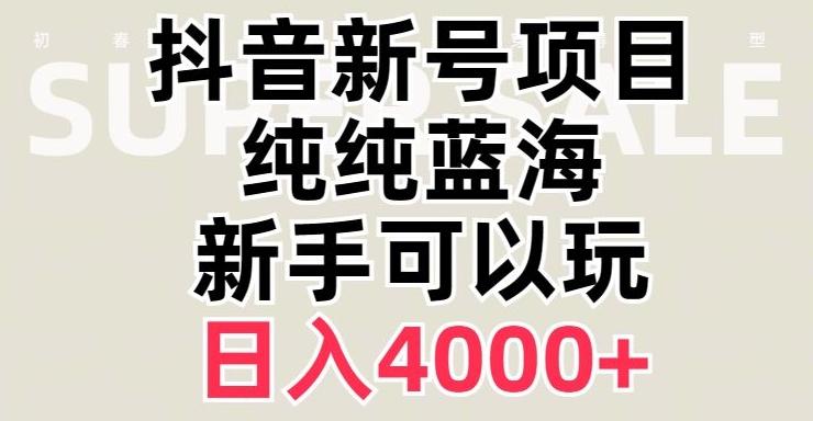 抖音蓝海赛道，必须是新账号，日入4000+【揭秘】-豪讯资源网