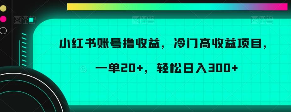 小红书账号撸收益，冷门高收益项目，一单20+，轻松日入300+【揭秘】-豪讯资源网
