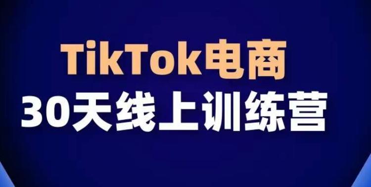 TikTok电商带货30天线上课，不可错过的全球流量洼地！-豪讯资源网