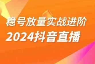稳号放量实战进阶—2024抖音直播，直播间精细化运营的几大步骤-豪讯资源网