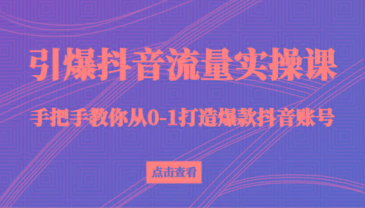 引爆抖音流量实操课，手把手教你从0-1打造爆款抖音账号(27节课)-豪讯资源网