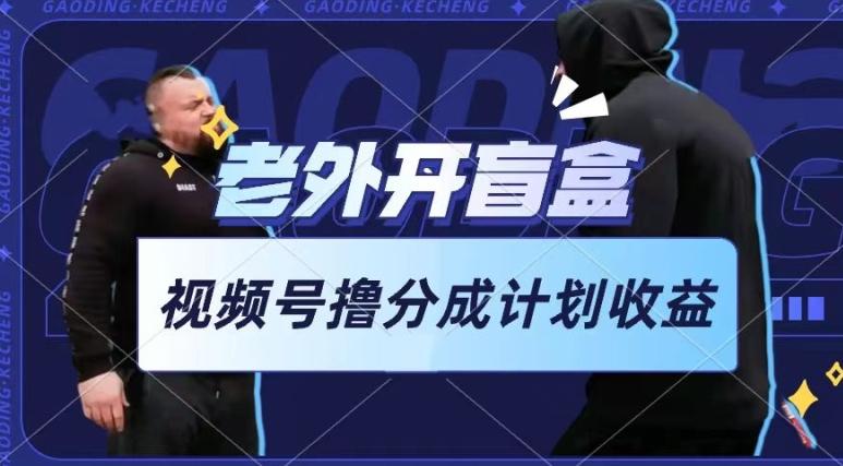 老外开盲盒视频，撸视频号分成计划收益，每天只需一小时，新手小白轻松上手【揭秘】-豪讯资源网