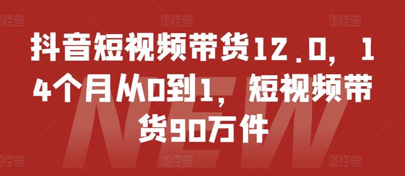 抖音短视频带货12.0，14个月从0到1，短视频带货90万件-豪讯资源网