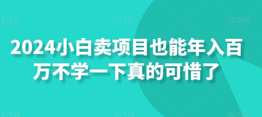 2024小白卖项目也能年入百万不学一下真的可惜了-豪讯资源网