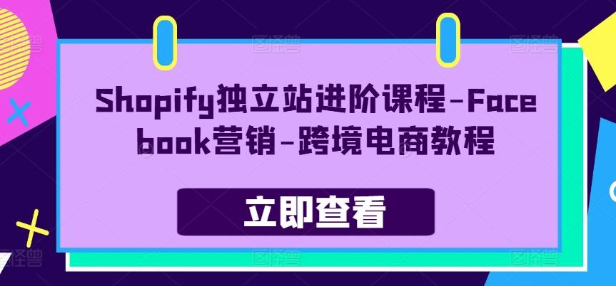 Shopify独立站进阶课程-Facebook营销-跨境电商教程-豪讯资源网