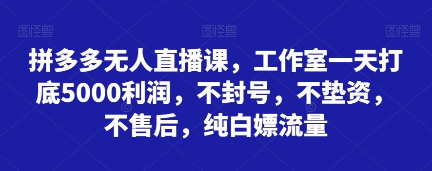 拼多多无人直播课，工作室一天打底5000利润，不封号，不垫资，不售后，纯白嫖流量-豪讯资源网