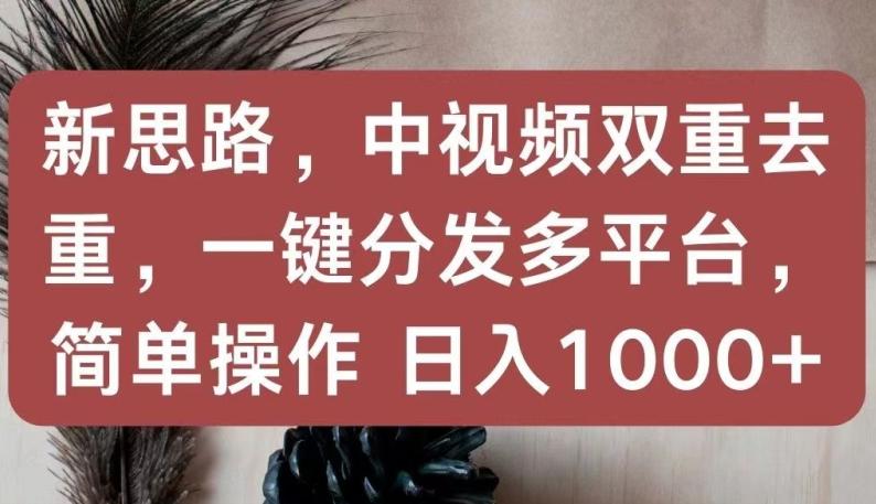 新思路，中视频双重去重，一键分发多平台，简单操作，日入1000+【揭秘】-豪讯资源网