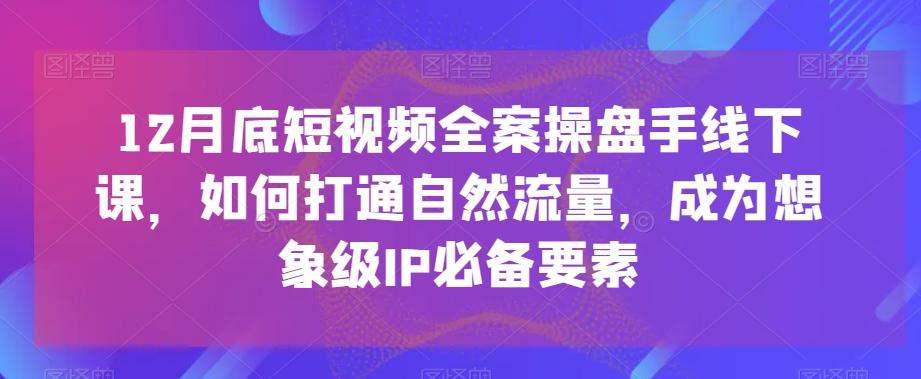 12月底短视频全案操盘手线下课，如何打通自然流量，成为想象级IP必备要素-豪讯资源网