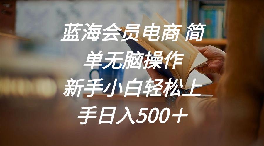 蓝海会员电商 简单无脑操作 新手小白轻松上手日入500＋-豪讯资源网