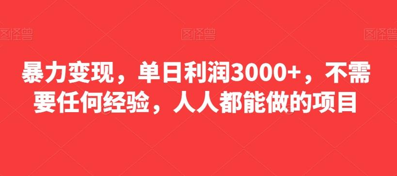暴力变现，单日利润3000+，不需要任何经验，人人都能做的项目-豪讯资源网