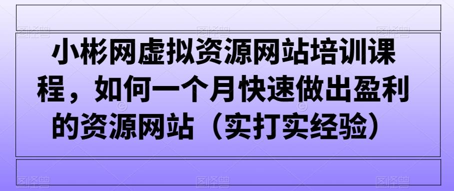小彬网虚拟资源网站培训课程，如何一个月快速做出盈利的资源网站(实打实经验)-豪讯资源网