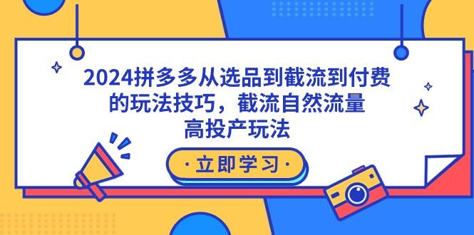 2024拼多多从选品到截流到付费的玩法技巧，截流自然流量玩法，高投产玩法-豪讯资源网
