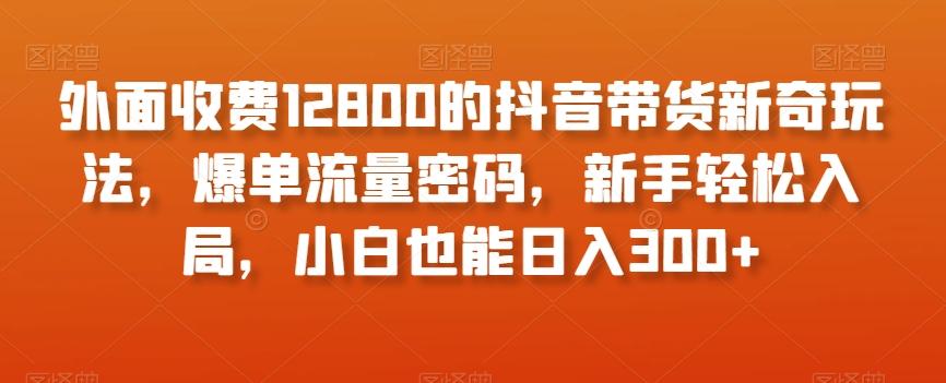 外面收费12800的抖音带货新奇玩法，爆单流量密码，新手轻松入局，小白也能日入300+【揭秘】-豪讯资源网