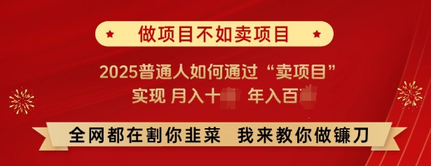 必看，做项目不如卖项目，2025普通人如何通过“卖项目”实现月入十个，年入百个-豪讯资源网