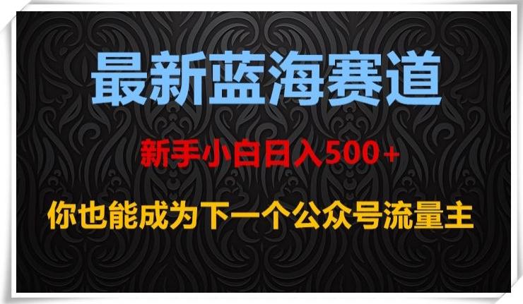最新蓝海赛道，新手小白日入500+，你也能成为下一个公众号流量主【揭秘】-豪讯资源网