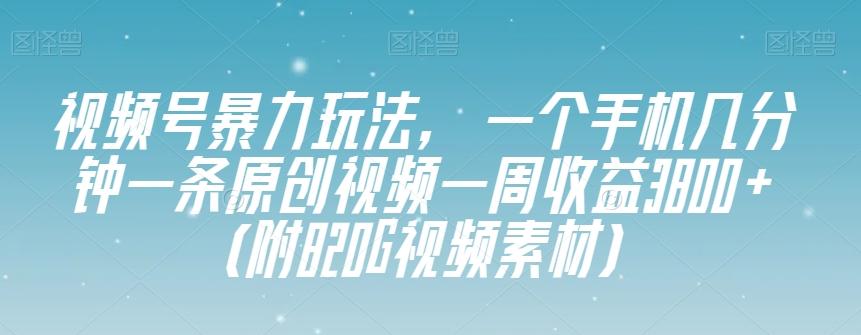 视频号暴力玩法，一个手机几分钟一条原创视频一周收益3800+（附820G视频素材）-豪讯资源网