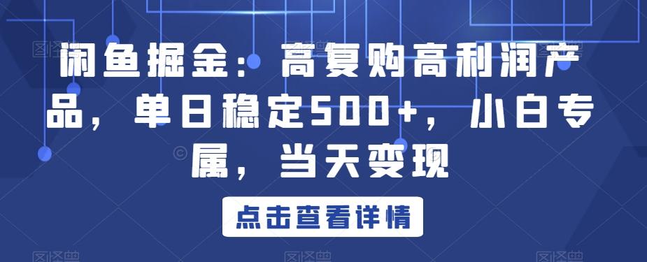 闲鱼掘金：高复购高利润产品，单日稳定500+，小白专属，当天变现-豪讯资源网
