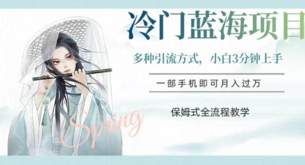 冷门蓝海项目，操作简单，小白3分钟上手，多种引流方式，保姆式全流程教学【揭秘】-豪讯资源网