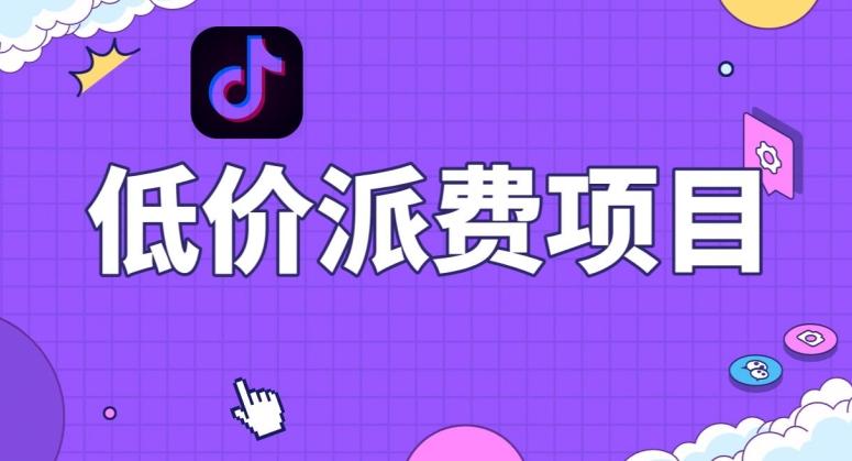 抖音低价派单项目，0门槛，日入1000+很轻松，小白可操作【揭秘】-豪讯资源网