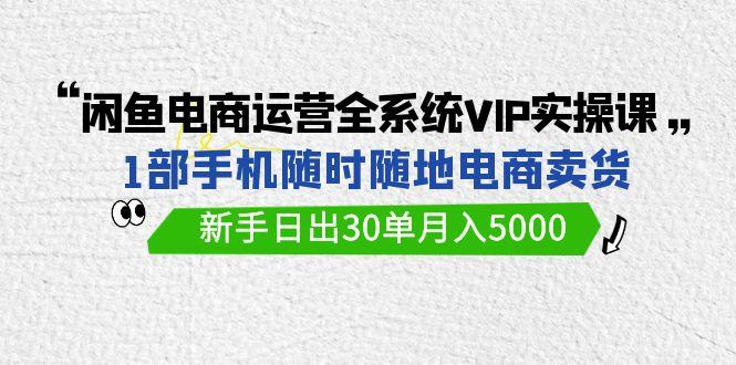 (9547期)闲鱼电商运营全系统VIP实战课，1部手机随时随地卖货，新手日出30单月入5000-豪讯资源网