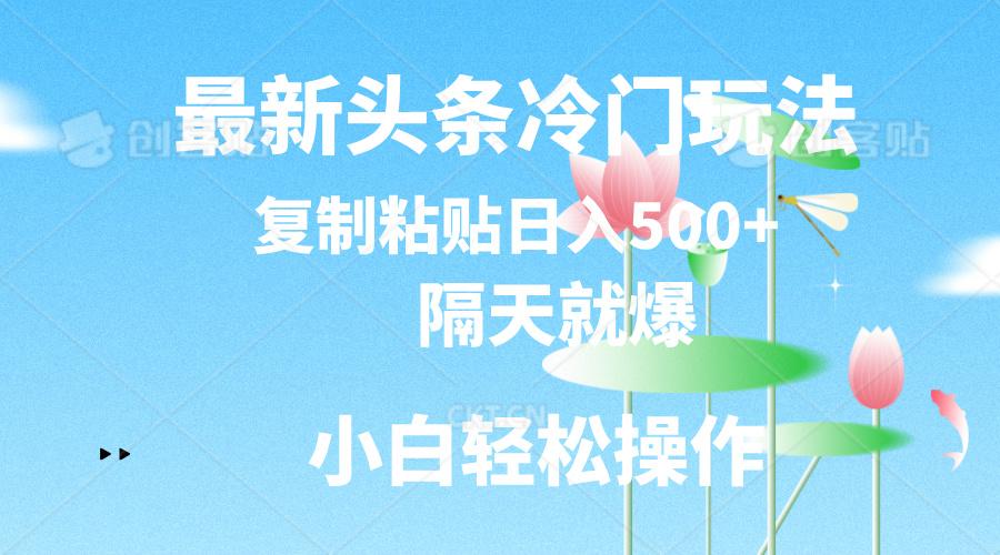 最新头条冷门玩法，隔天就爆，复制粘贴日入500+-豪讯资源网