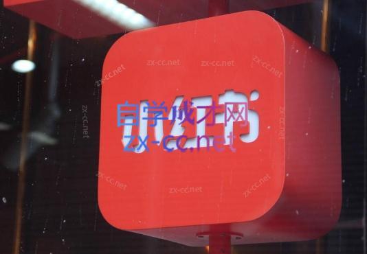 伊伊·红薯【高级班】运营课-豪讯资源网