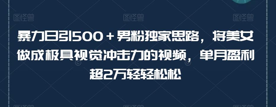 暴力日引500＋男粉独家思路，将美女做成极具视觉冲击力的视频，单月盈利超2万轻轻松松-豪讯资源网