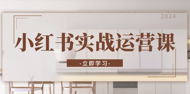 小红书实战运营课：从开通店铺到直播话术，打造爆款笔记与高效直播-豪讯资源网