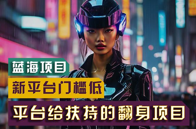 【蓝海项目】新平台无脑搬运，翻身项目 门槛低 小白也能轻松上手 日入500+-豪讯资源网