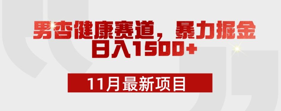 11月最新项目，男杏健康赛道，暴力掘金，日入1500+-豪讯资源网