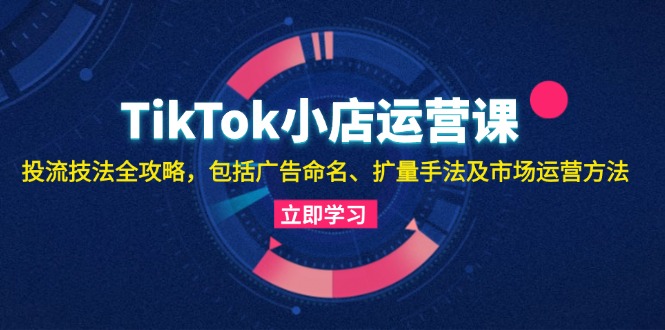 TikTok小店运营课：投流技法全攻略，包括广告命名 扩量手法及市场运营方法-豪讯资源网