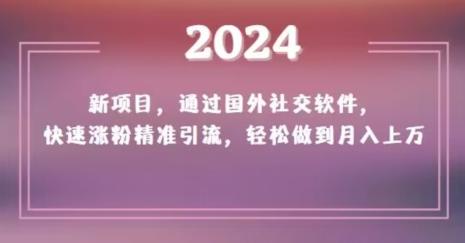 2024新项目，通过国外社交软件，快速涨粉精准引流，轻松做到月入上万【揭秘】-豪讯资源网