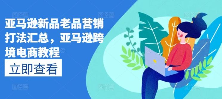 亚马逊新品老品营销打法汇总，亚马逊跨境电商教程-豪讯资源网