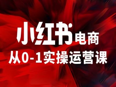 小红书电商从0-1实操运营课，让你从小白到精英-豪讯资源网