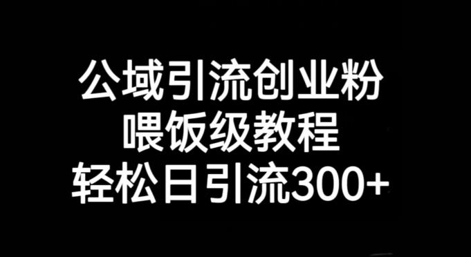 公域引流创业粉，喂饭级教程，轻松日引流300+【揭秘】-豪讯资源网