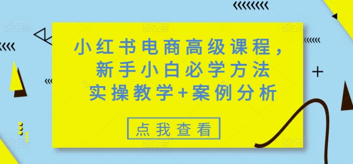 小红书电商高级课程，新手小白必学方法，实操教学+案例分析-豪讯资源网