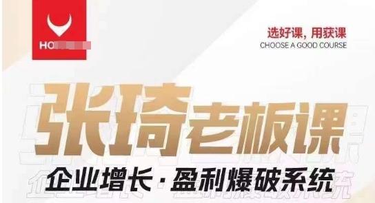 【组合课】张琦张琦老板企业增长·盈利爆破系统（直播专享）-豪讯资源网