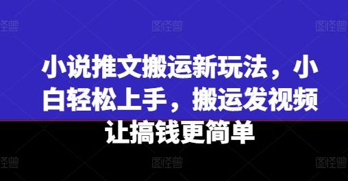 小说推文搬运新玩法，小白轻松上手，搬运发视频让搞钱更简单-豪讯资源网