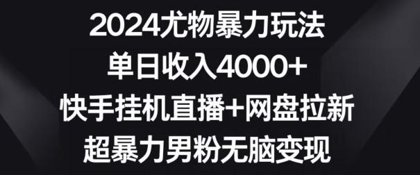 2024尤物暴力玩法，单日收入4000+，快手挂机直播+网盘拉新，超暴力男粉无脑变现【揭秘】-豪讯资源网