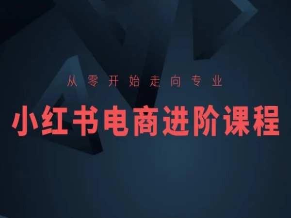 从零开始走向专业，小红书电商进阶课程-豪讯资源网
