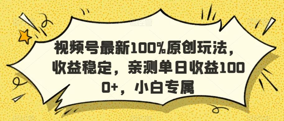 视频号最新100%原创玩法，收益稳定，亲测单日收益1000+，小白专属【揭秘】-豪讯资源网