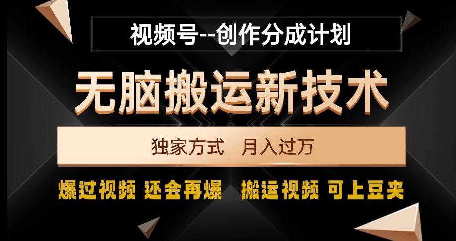 视频号无脑搬运新技术，破原创壕流量，独家方式，爆过视频，还会再爆【揭秘】-豪讯资源网