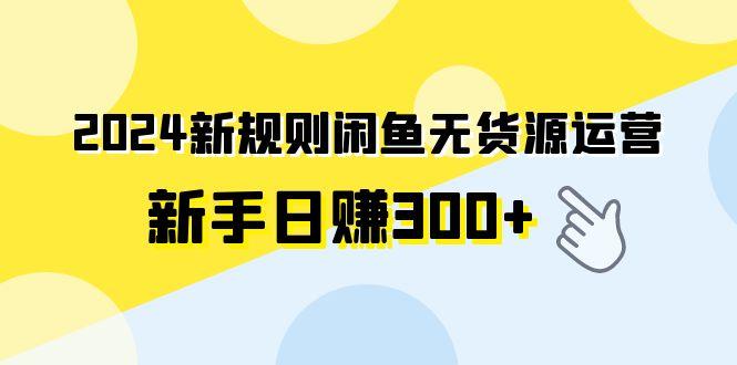 (9522期)2024新规则闲鱼无货源运营新手日赚300+-豪讯资源网