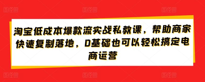 淘宝低成本爆款流实战私教课，帮助商家快速复制落地，0基础也可以轻松搞定电商运营-豪讯资源网
